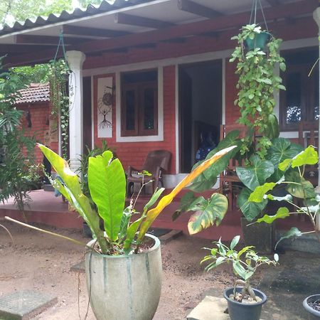Angry Birds Homestay Habarana Bilik gambar