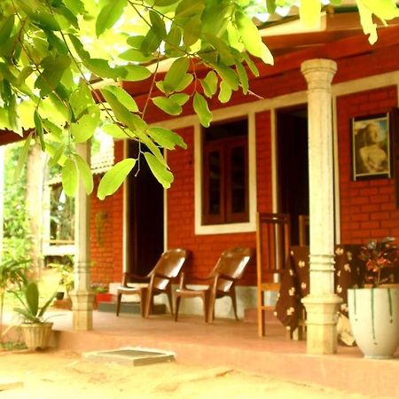 Angry Birds Homestay Habarana Luaran gambar