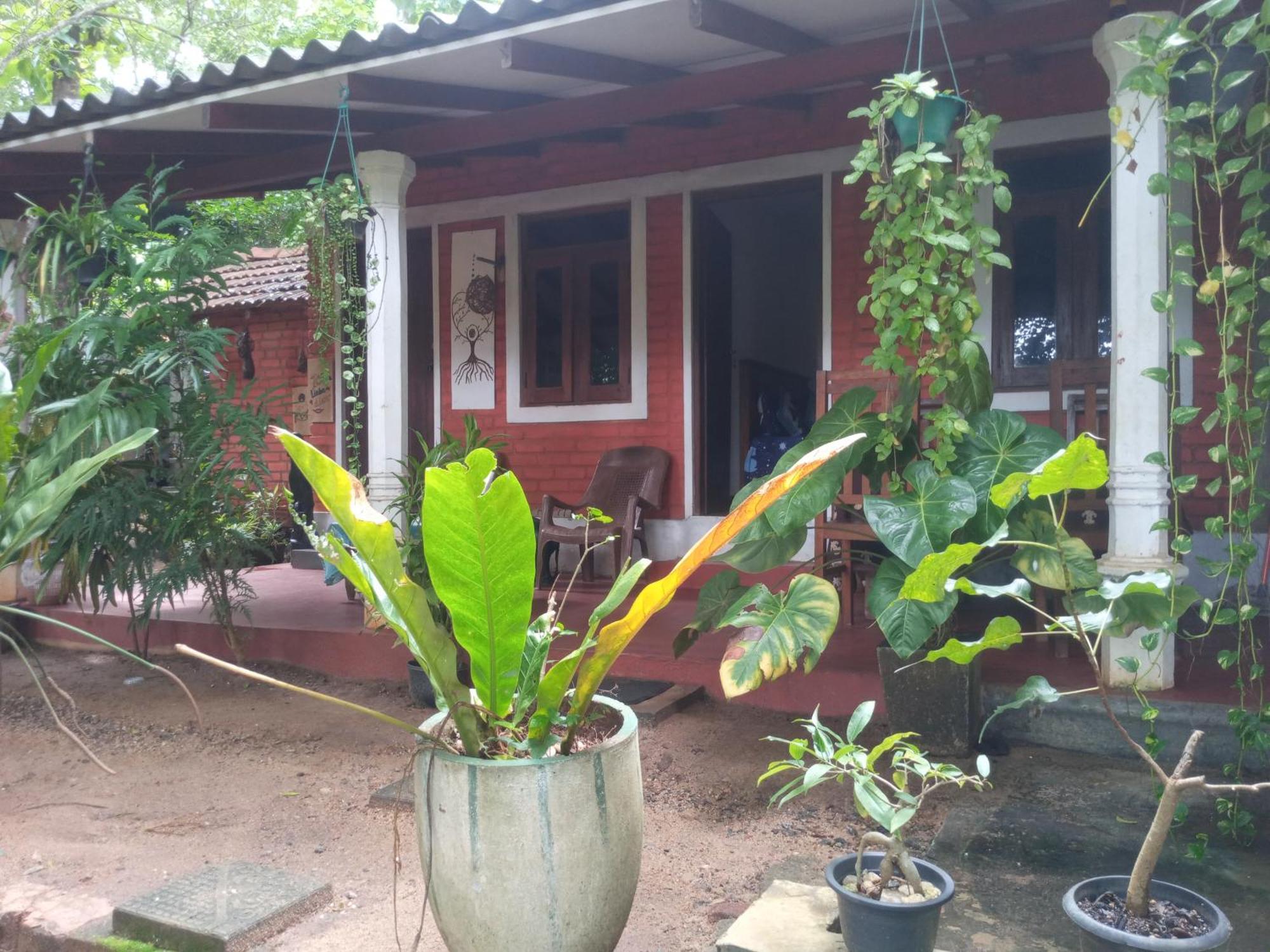 Angry Birds Homestay Habarana Bilik gambar