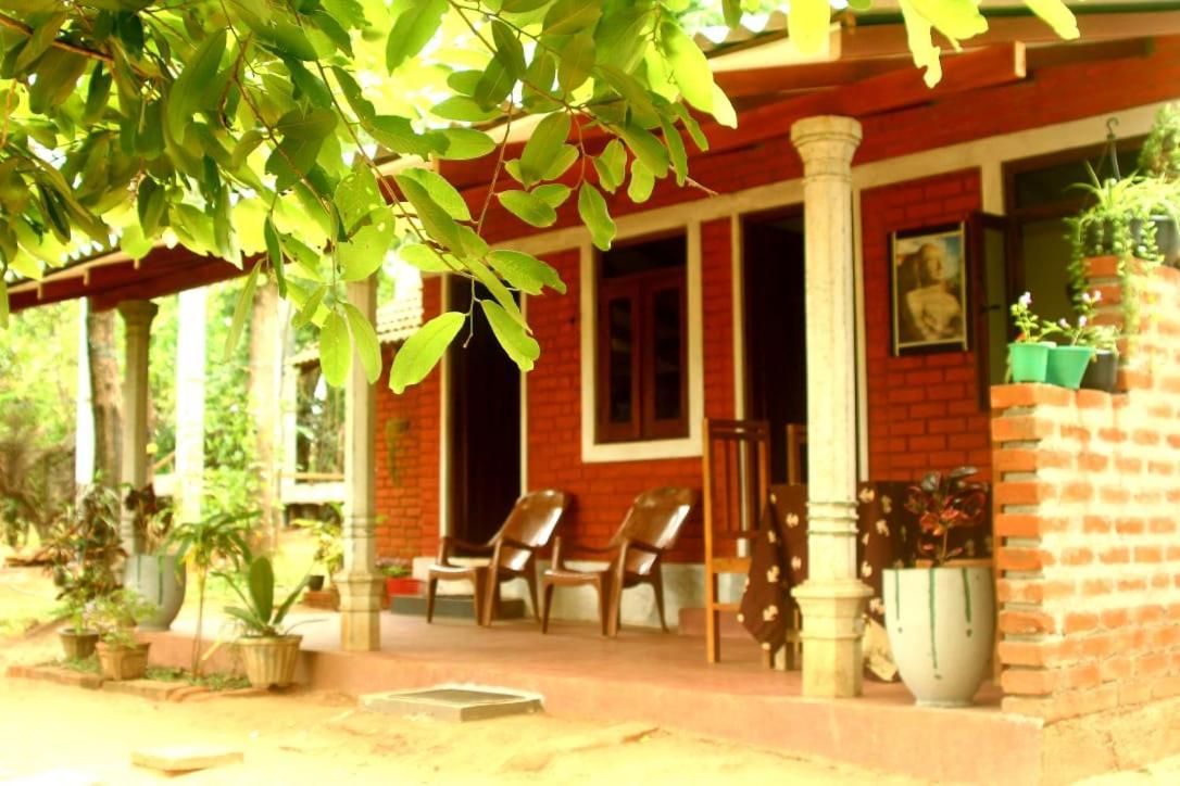 Angry Birds Homestay Habarana Luaran gambar